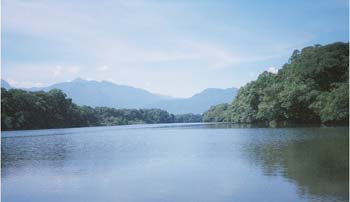 Cuero y Salado Wildlife Refuge, Honduras Central America