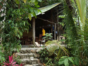 Jungle River Lodge - La Ceiba Honduras