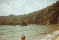 One of the Beaches at Punta Sal National Park Honduras