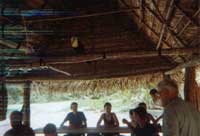 Place Where we had Lunch at Punta Sal National Park Honduras