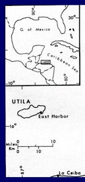 Roatan map