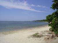 Beach in Front of Gumbalimba Park Restaurant