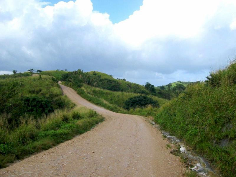 Picture of Road on East End of Roatan Honduras