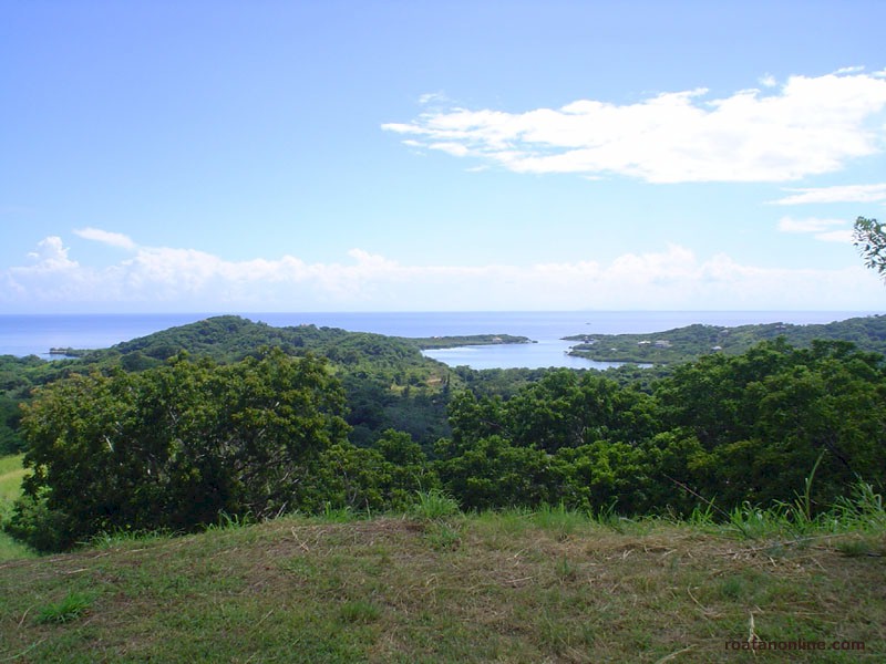 View from Highway on  Roatan Honduras