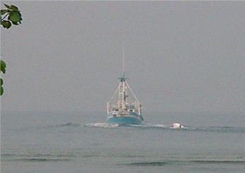 Passing Through the Channel at Lucy Point