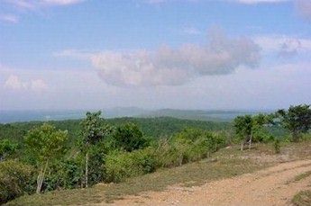 Looking east from a hilltop