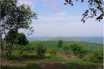 Looking east from a hilltop