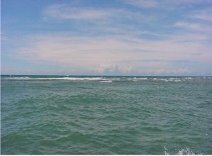 The Reef in Front of Lucy Point