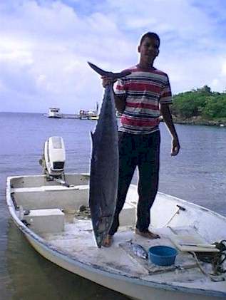 Roatan Fish