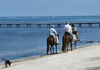 Roatan Beach at Captain Ron's Hideaway