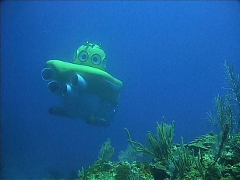 Underwater Picture of Idabel Submarine at Roatan Honduras