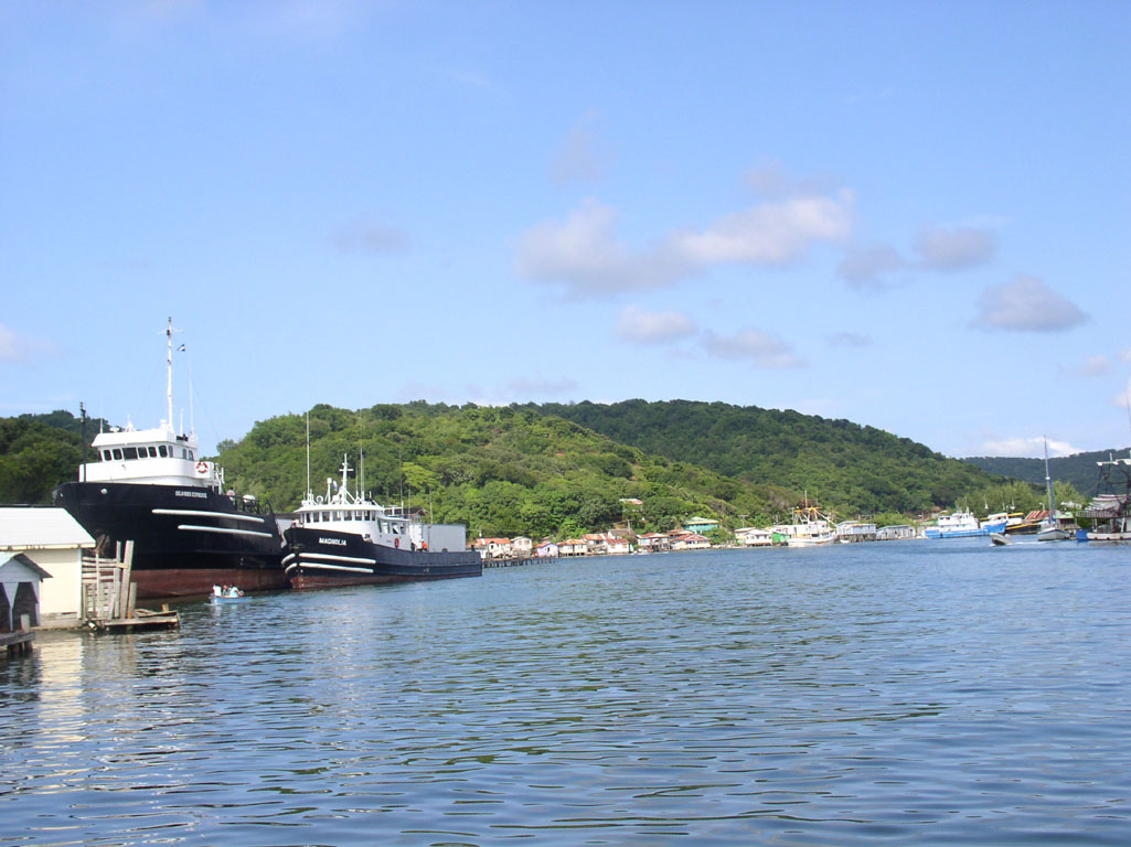 Picture of Boats in Harbor at Oak Ridge,  Roatan Honduras