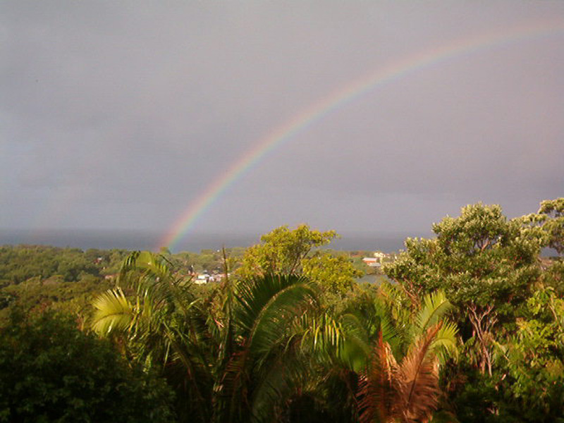 Picture of Rainbow over West End Village,  Roatan Honduras